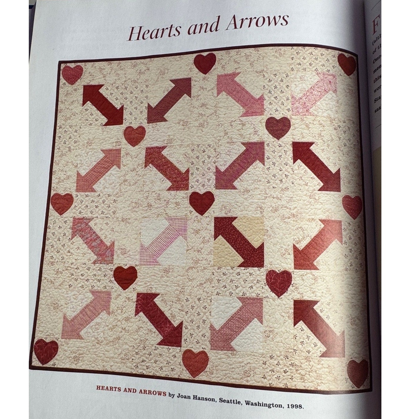 The Simple Joys of Quilting Book Joan Hanson Mary Hickey 30 Quilt Projects HC