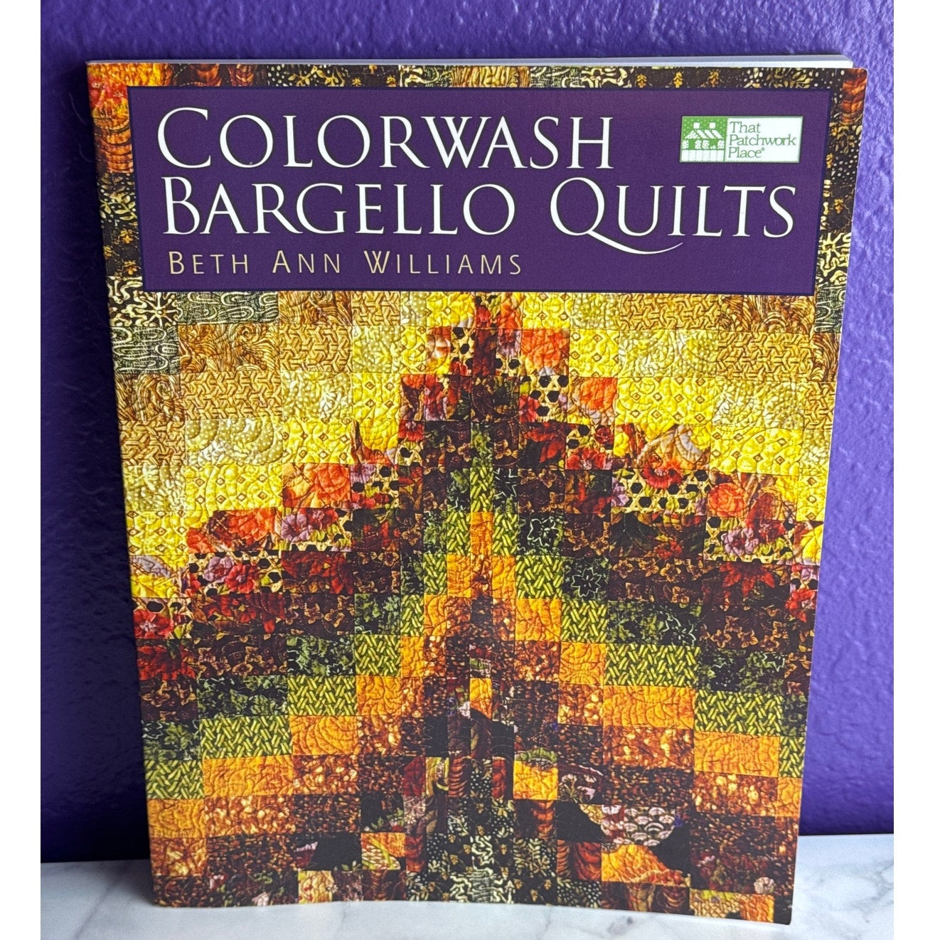 Colorwash Bargello Quilts Beth Ann Williams 2001 Patchwork Place Pattern Book VTG
