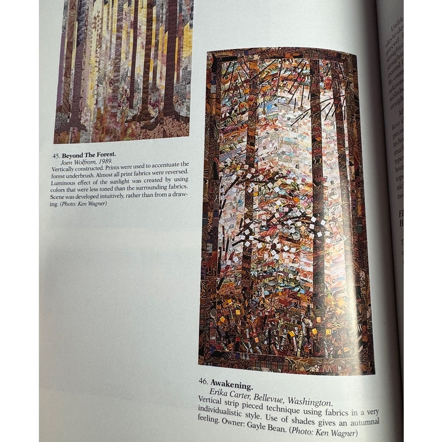 Landscapes & Illusions Joen Wolfrom Quilting Book Creating Scenic Imagery Fabric