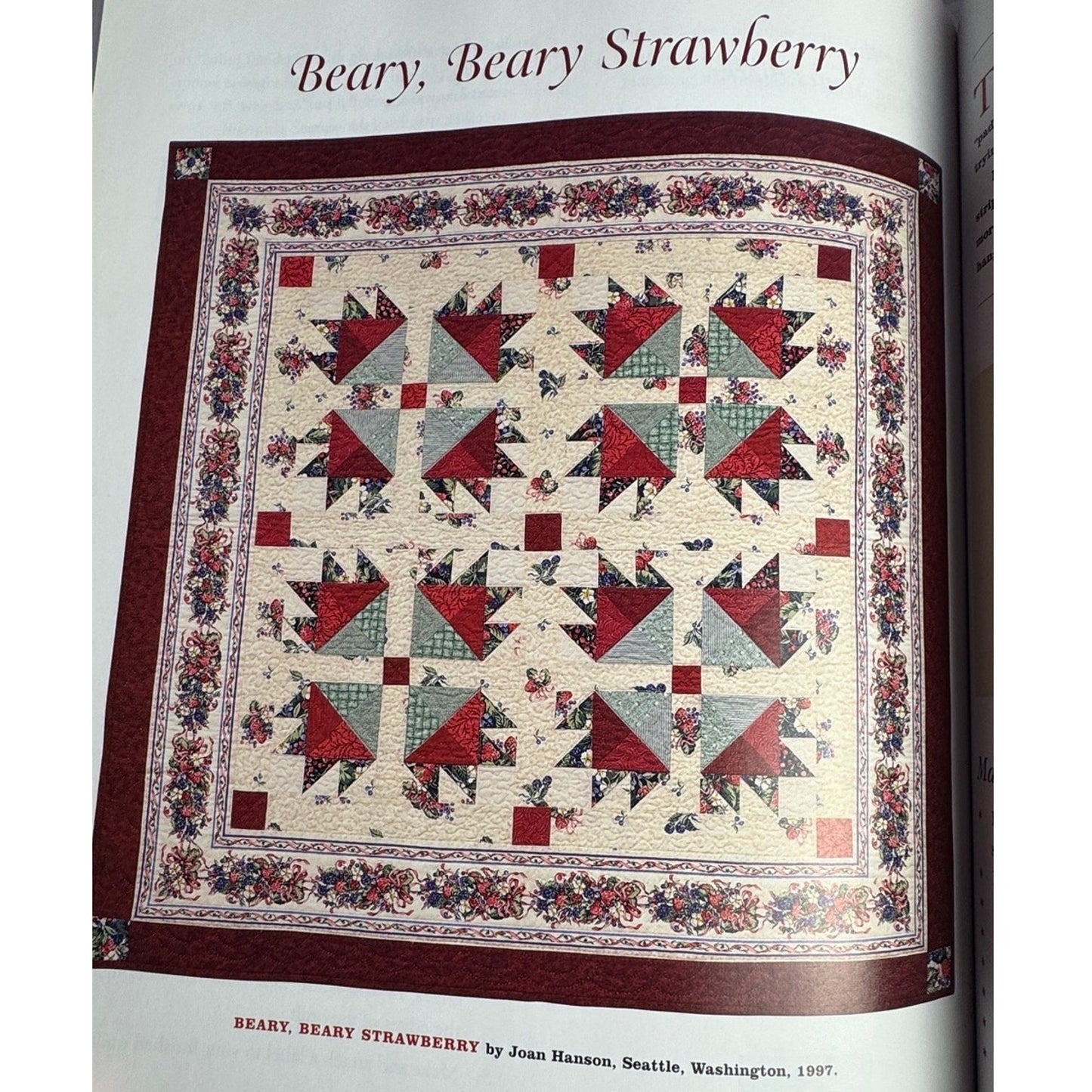 The Simple Joys of Quilting Book Joan Hanson Mary Hickey 30 Quilt Projects HC