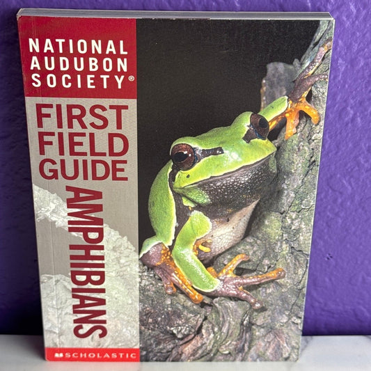 National Audubon Society First Field Guide Amphibians Paperback Scholastic 1999 - Lane Creatives