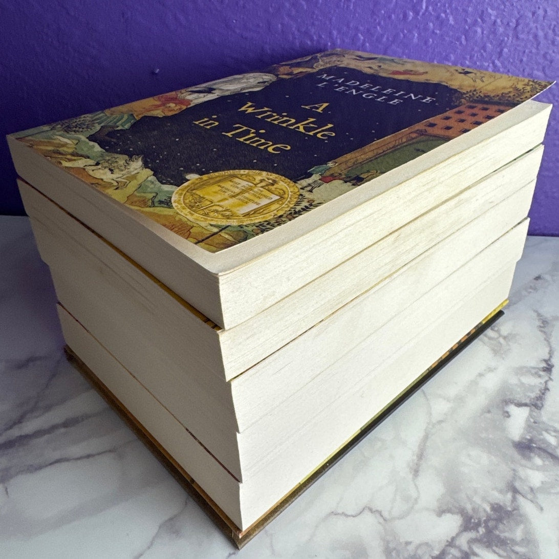 The Wrinkle in Time Boxed Set 5 Books Exclusive Journal Madeleine L'Engle Series