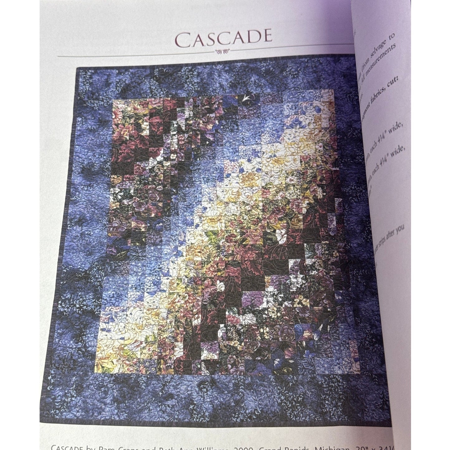 Colorwash Bargello Quilts Beth Ann Williams 2001 Patchwork Place Pattern Book VTG