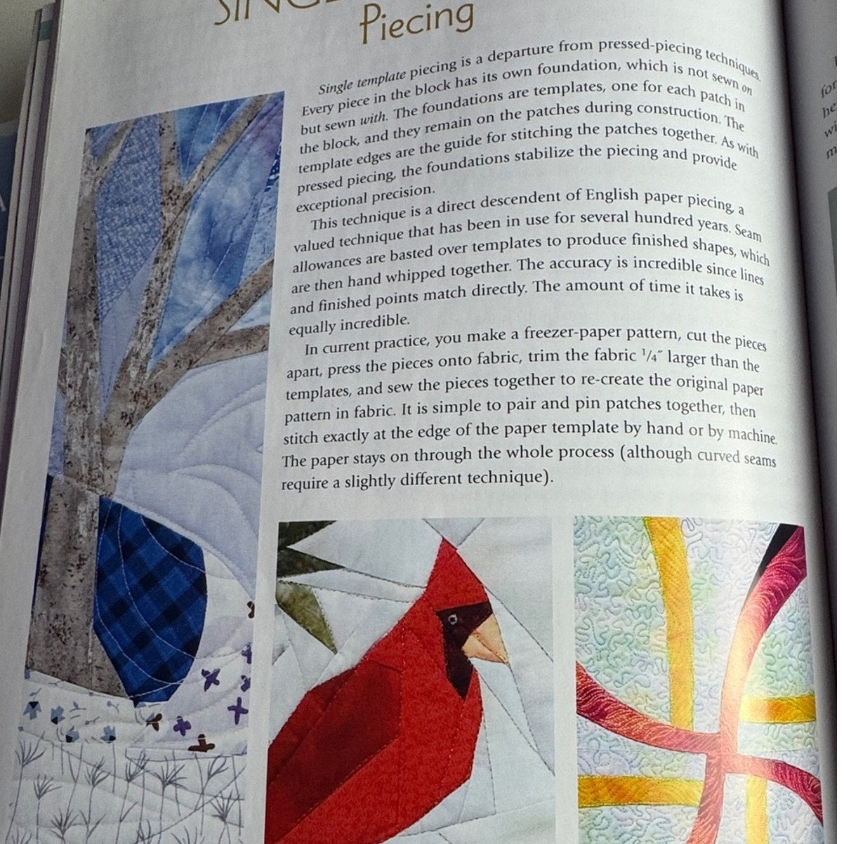 The Experts' Guide to Foundation Piecing Jane Hall Quilting Book 15 Techniques - Lane Creatives