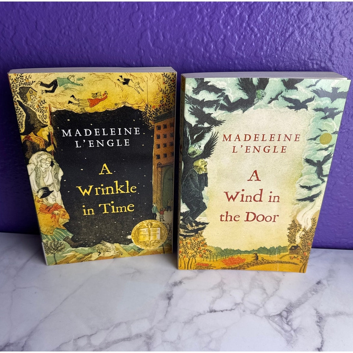 The Wrinkle in Time Boxed Set 5 Books Exclusive Journal Madeleine L'Engle Series