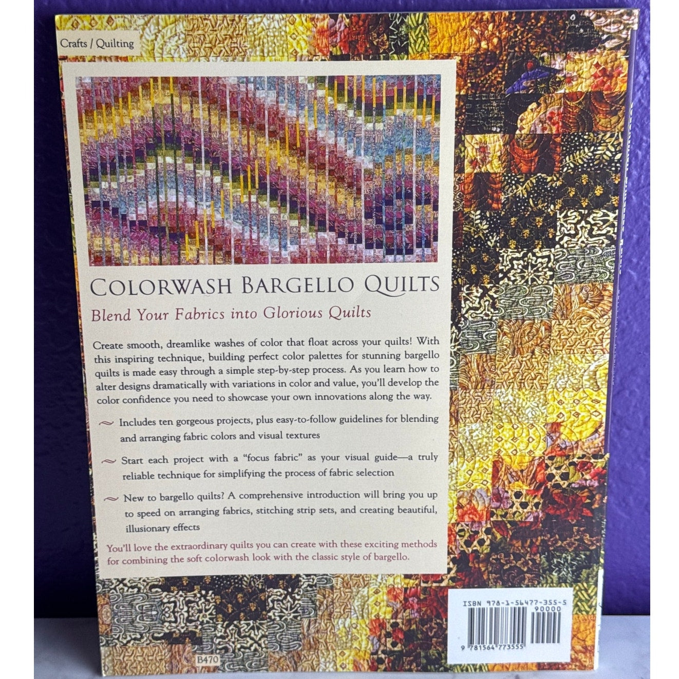 Colorwash Bargello Quilts Beth Ann Williams 2001 Patchwork Place Pattern Book VTG