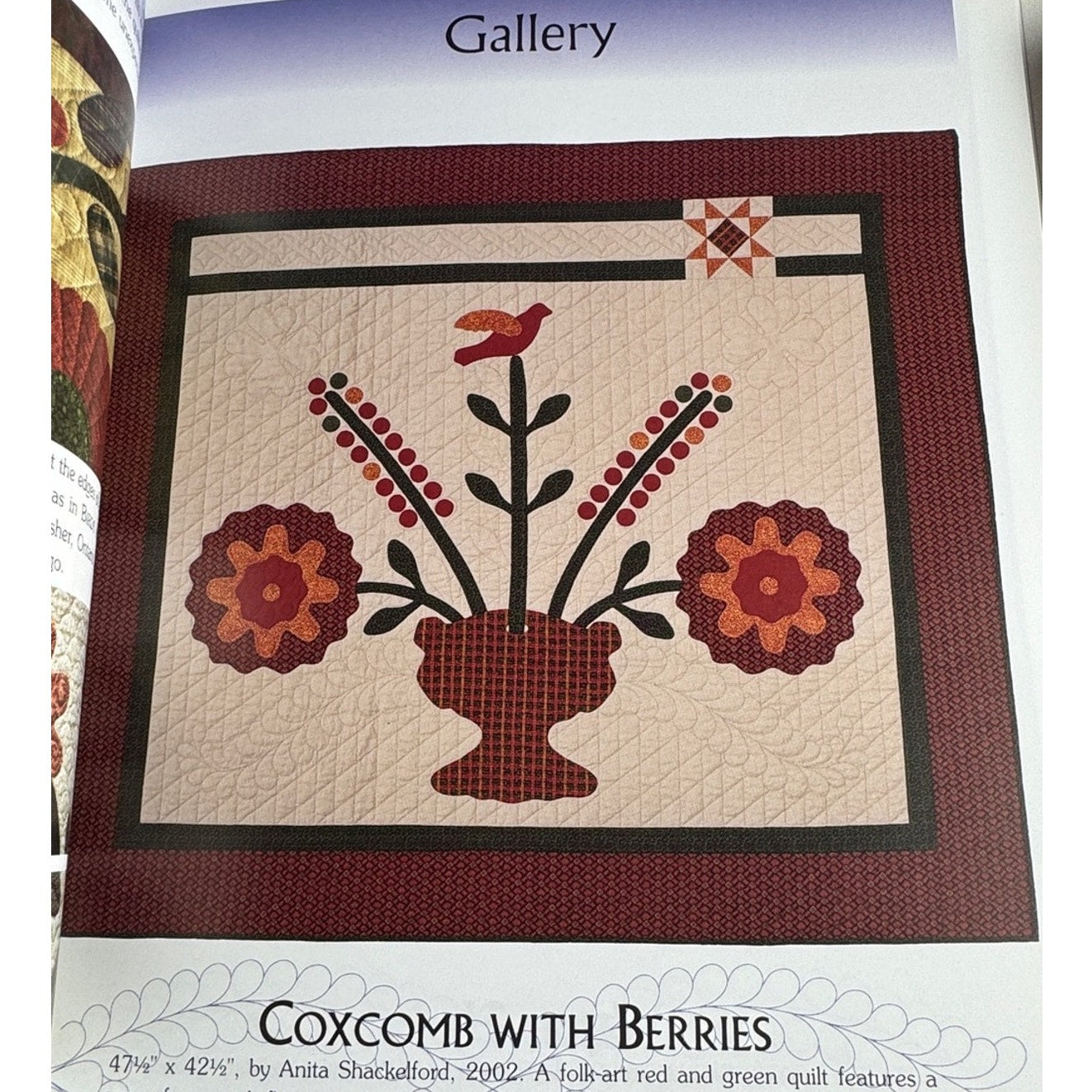 Infinite Feathers Quilting Designs Anita Shackelford Book Free-Motion Pattern AQ - Lane Creatives