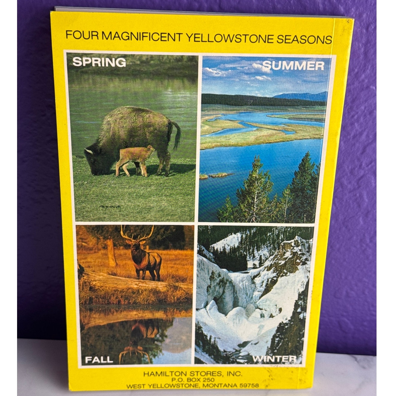 Vintage Hamilton's Guide Yellowstone National Park Book 99 Photographs 1987 Softcover