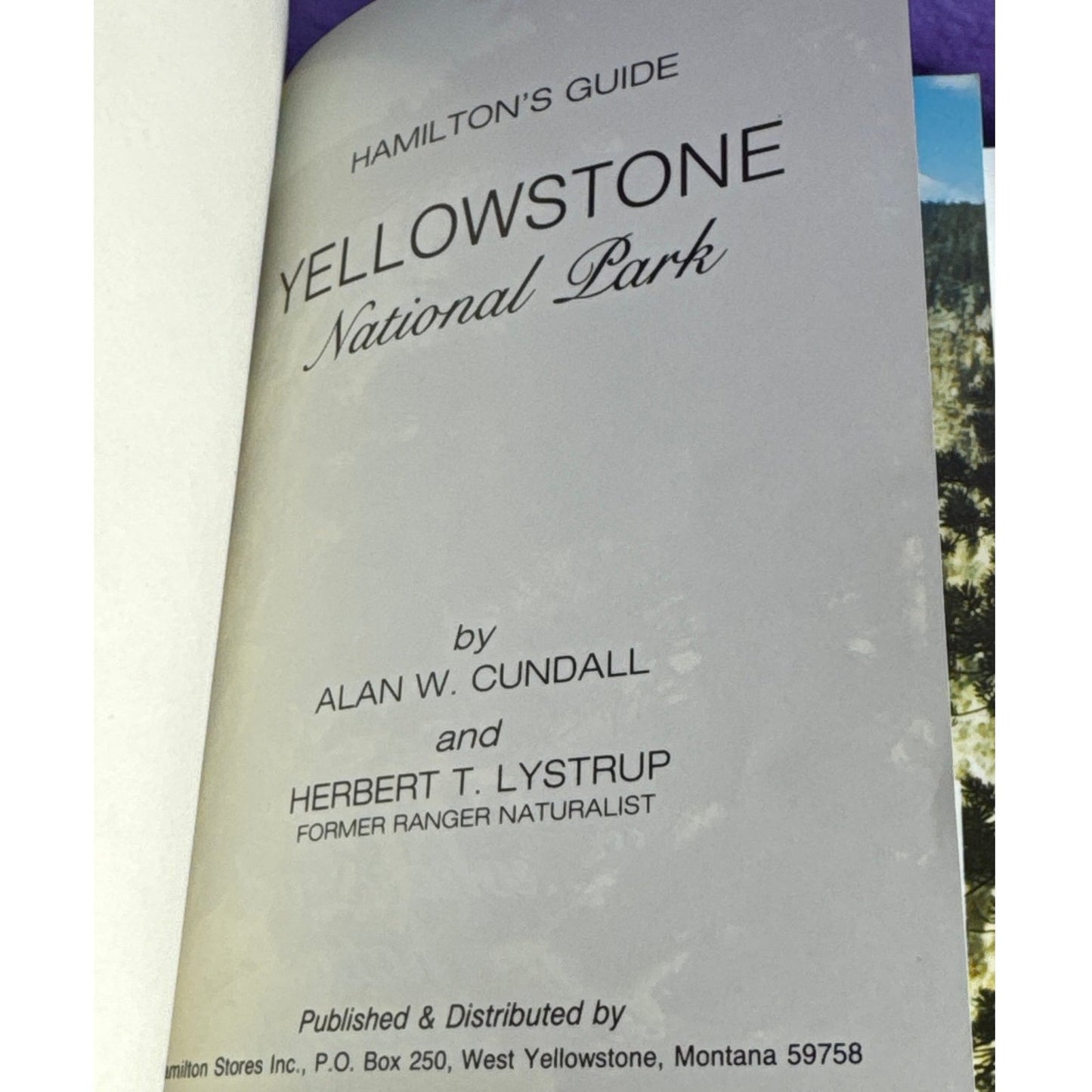 Vintage Hamilton's Guide Yellowstone National Park Book 99 Photographs 1987 Softcover