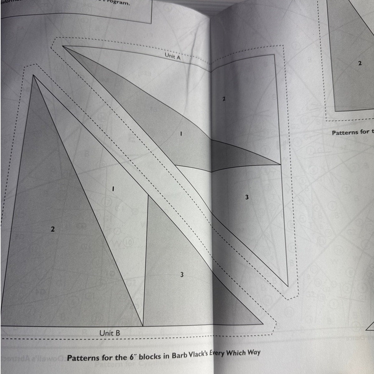 The Experts' Guide to Foundation Piecing Jane Hall Quilting Book 15 Techniques - Lane Creatives