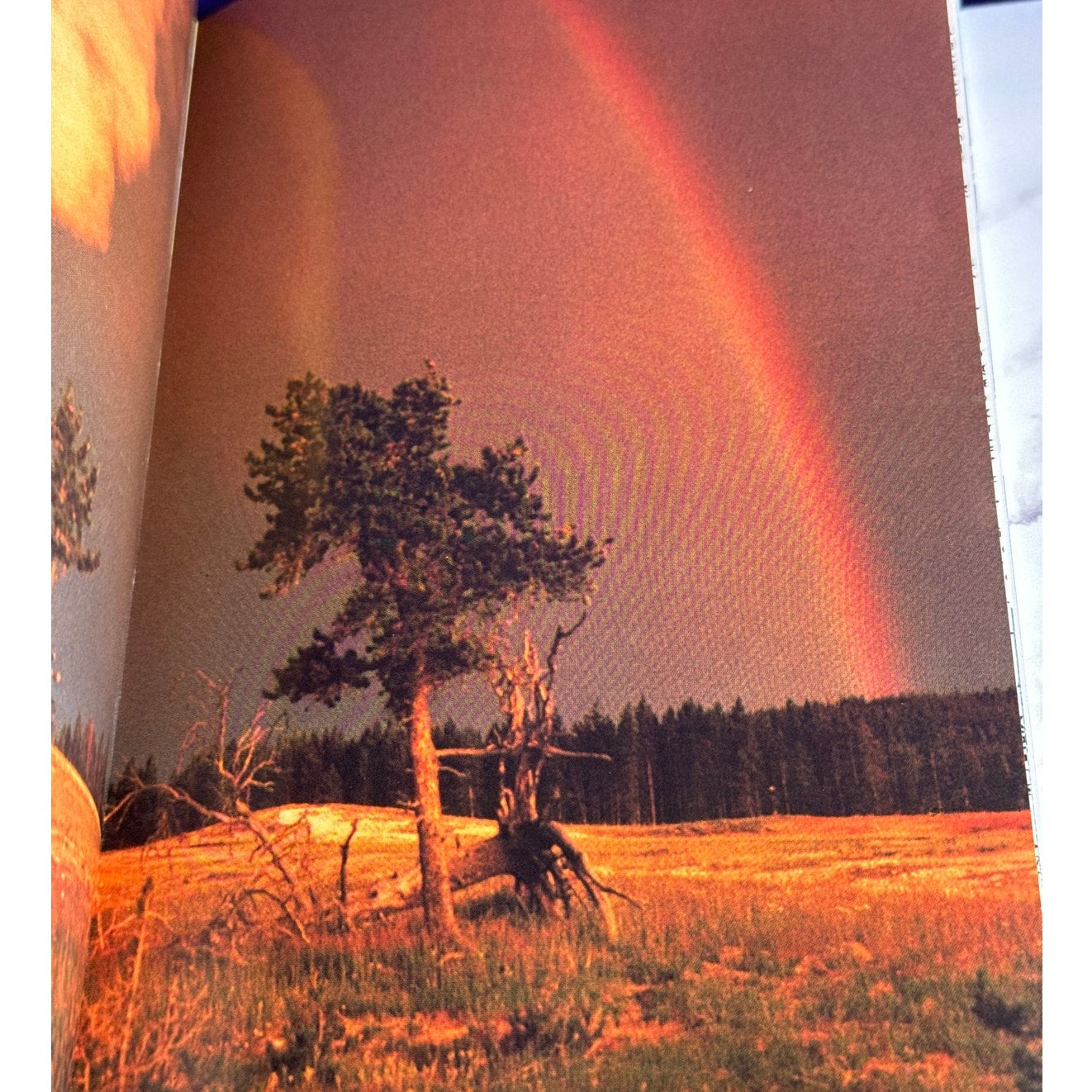 Vintage Hamilton's Guide Yellowstone National Park Book 99 Photographs 1987 Softcover